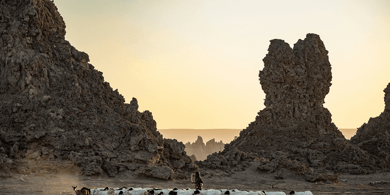 Djibouti eVisa Complete Guide: Requirements, Application, and Travel Tips