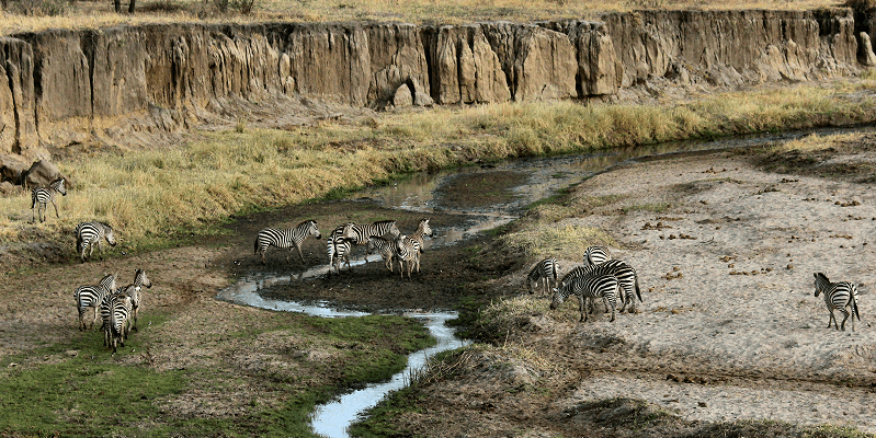 Tanzania eVisa Complete Guide: Requirements, Application, and Travel Tips